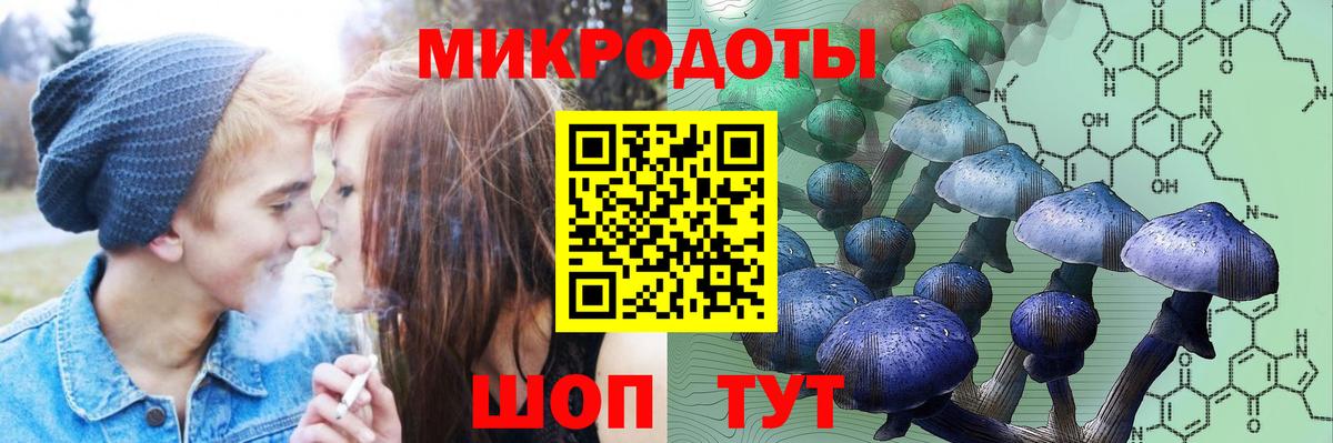 Псилоцибиновые грибы Cubensis  Вход с VPN  Клин 